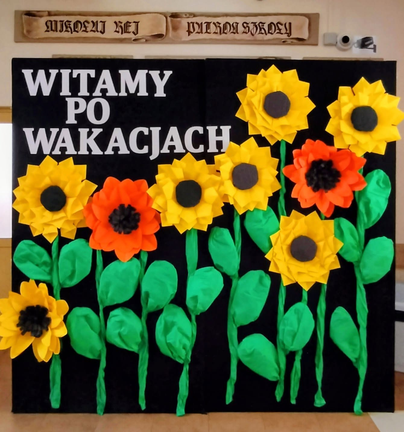 witamy